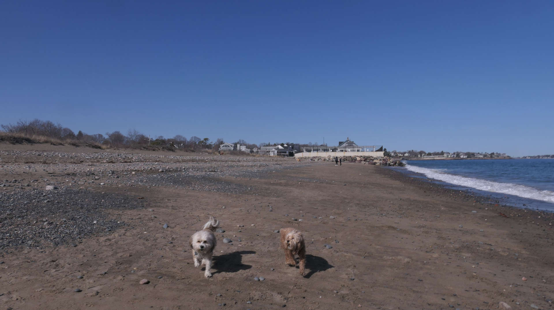 Swampscott41