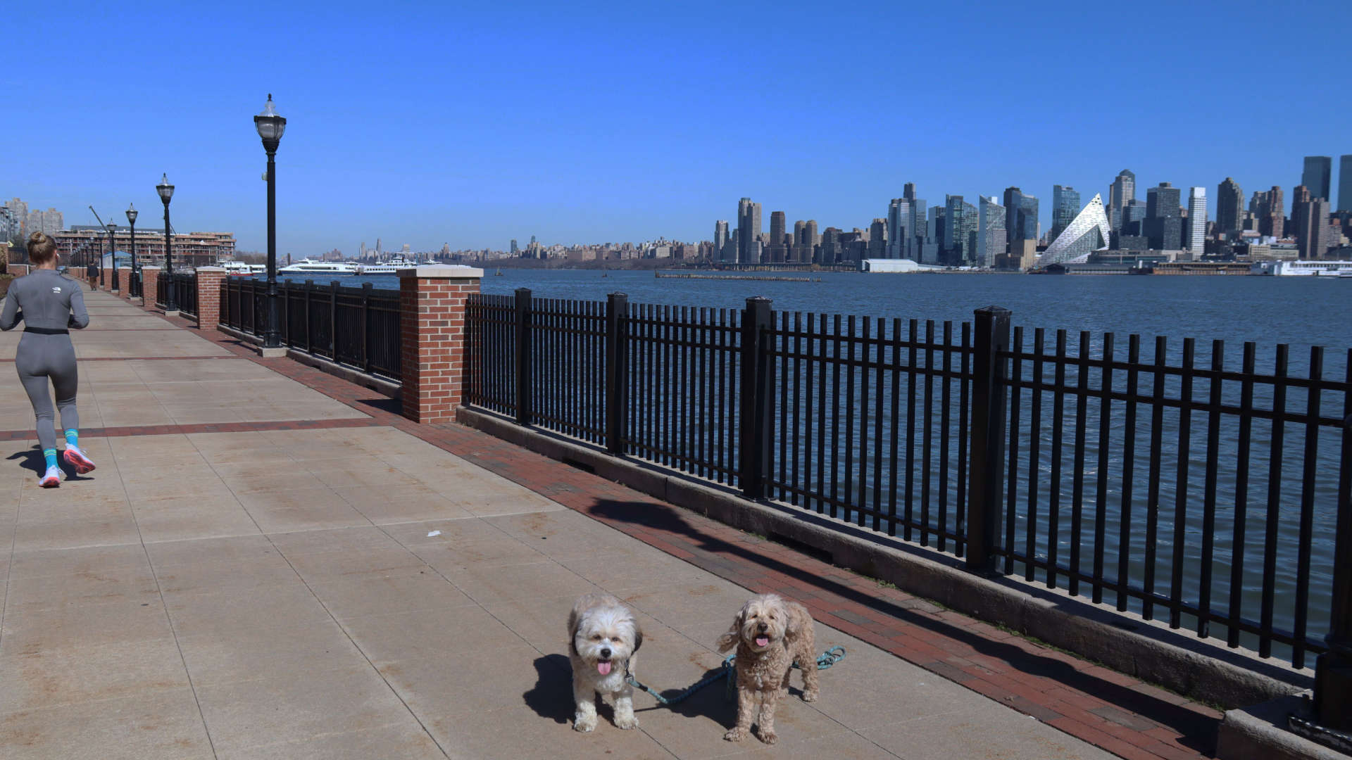Weehawken26
