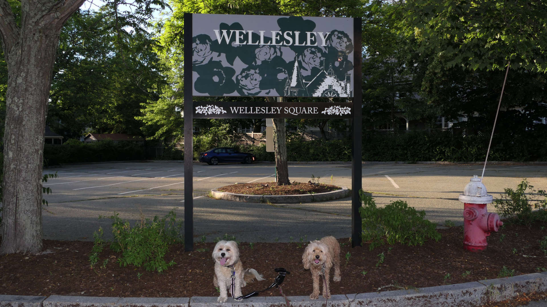 Wellesley24