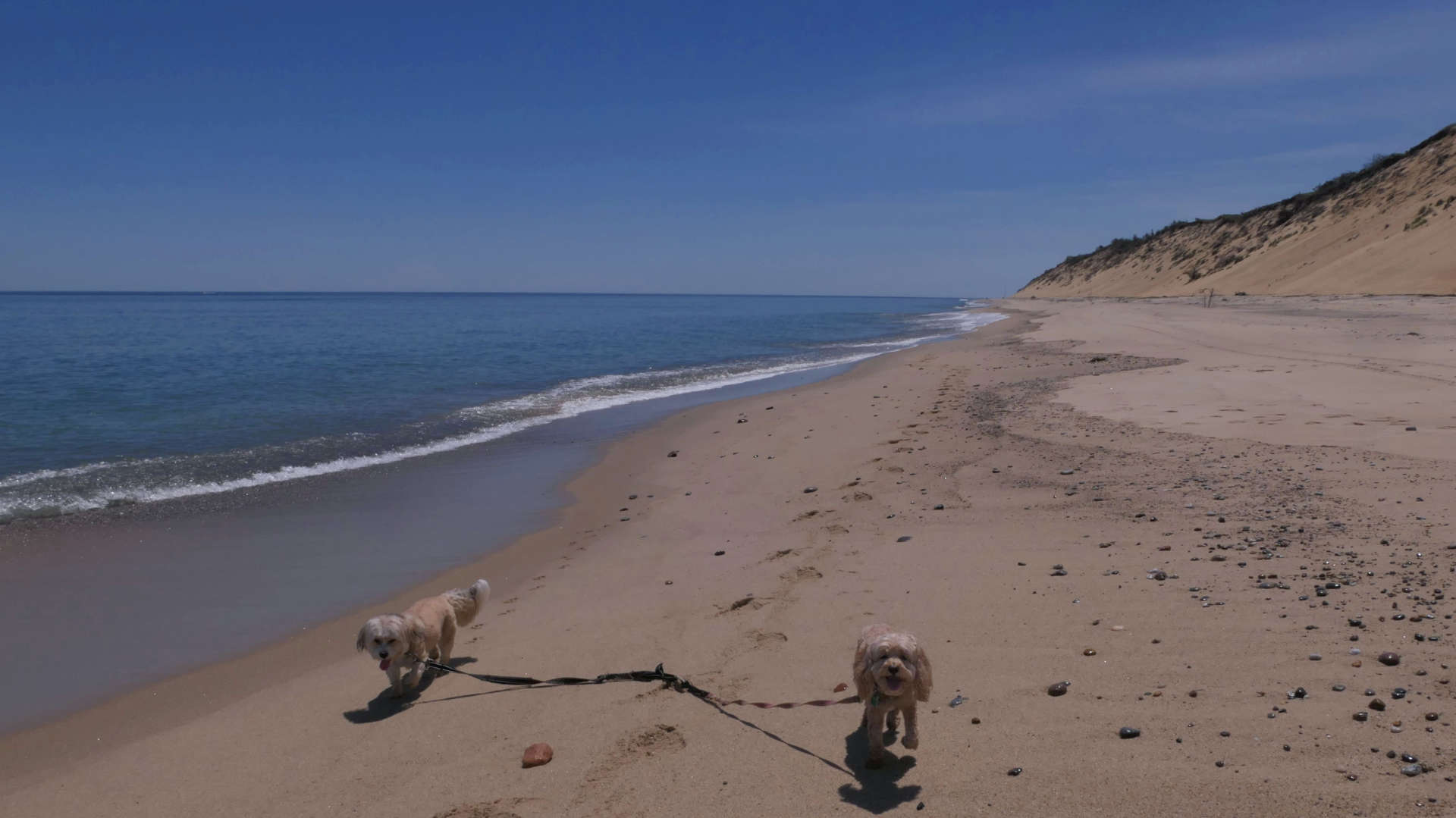 Wellfleet49