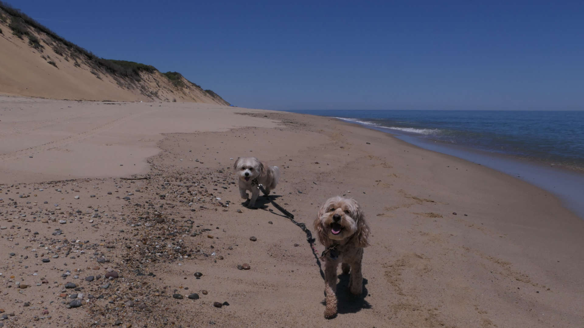 Wellfleet51