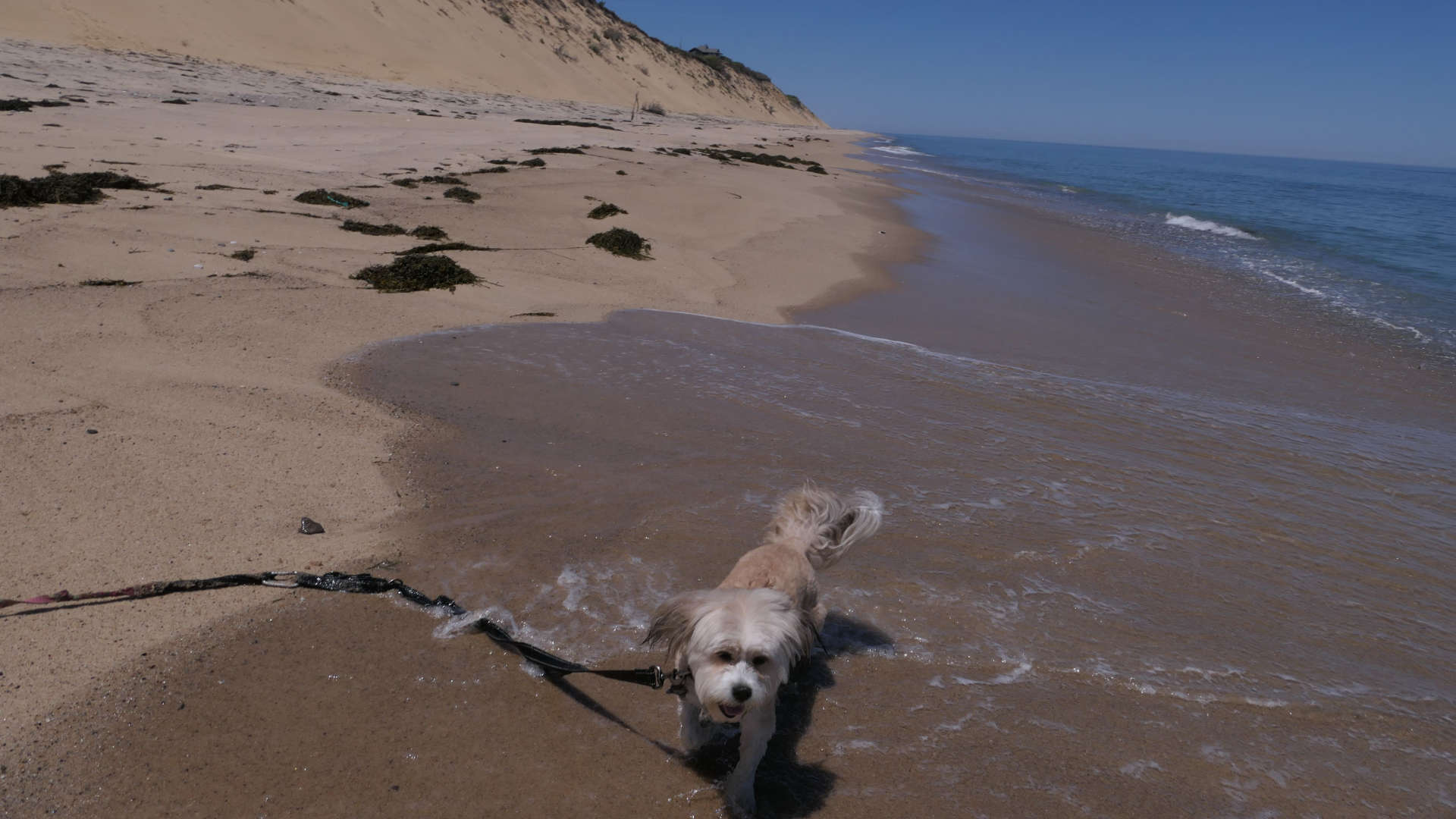 Wellfleet53