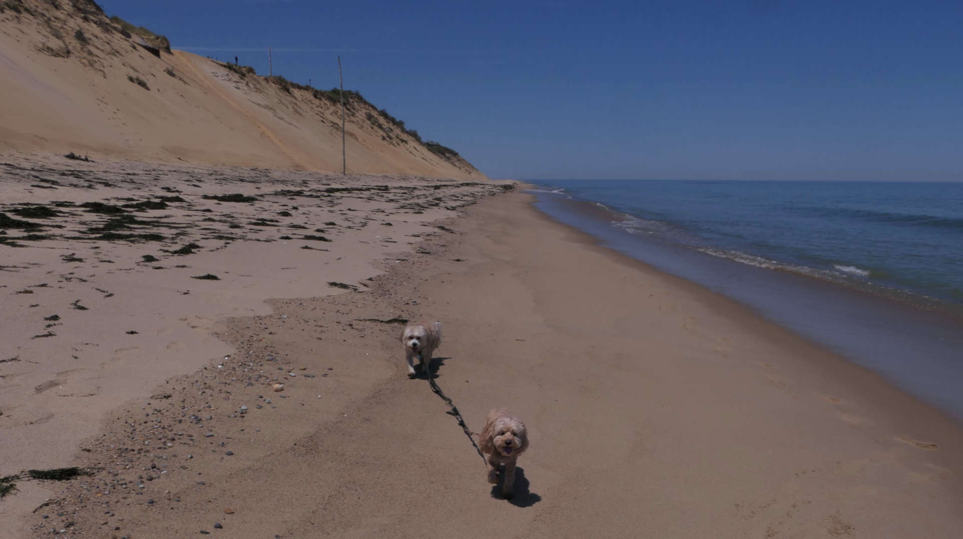 Wellfleet55