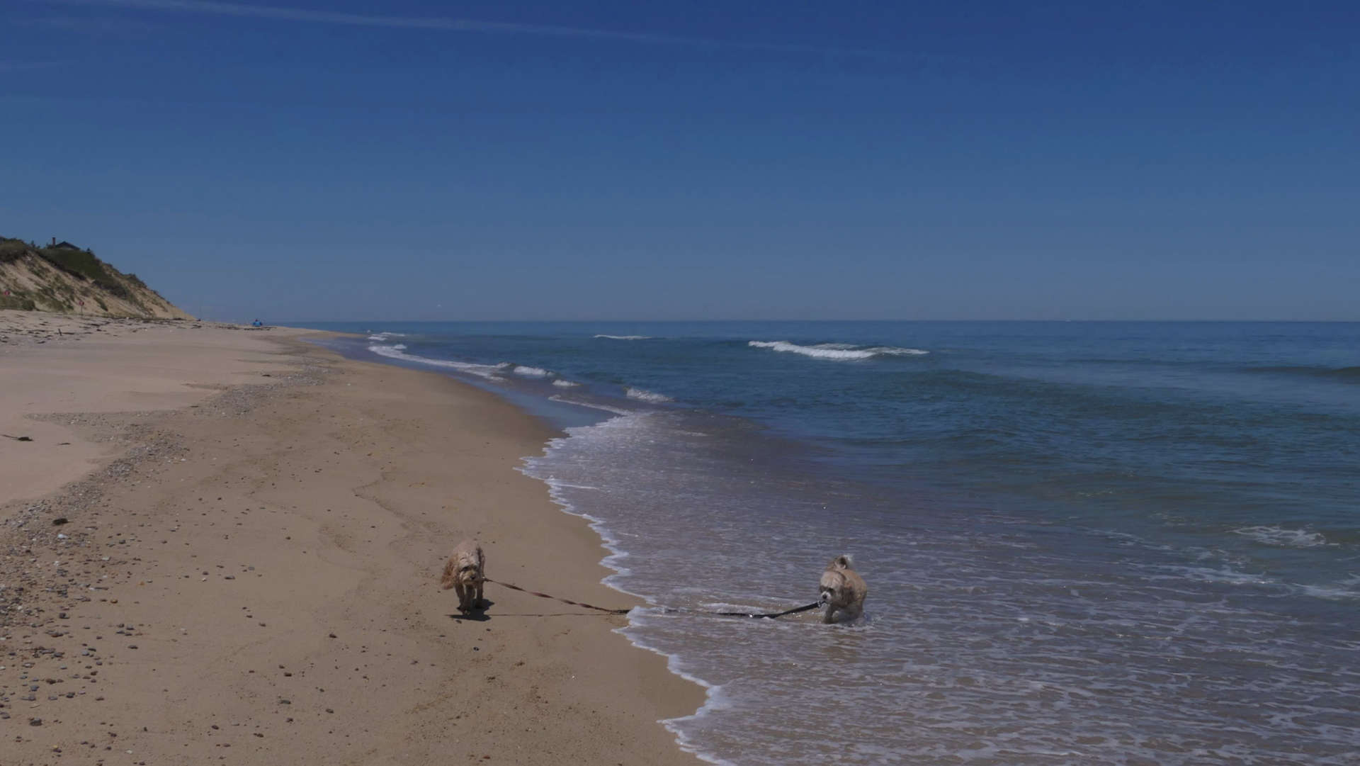 Wellfleet58