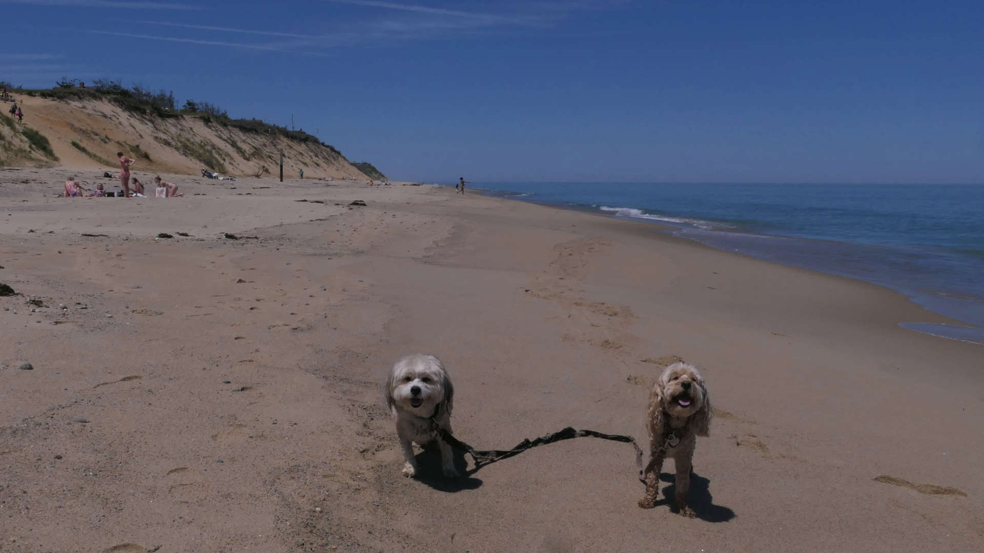 Wellfleet59