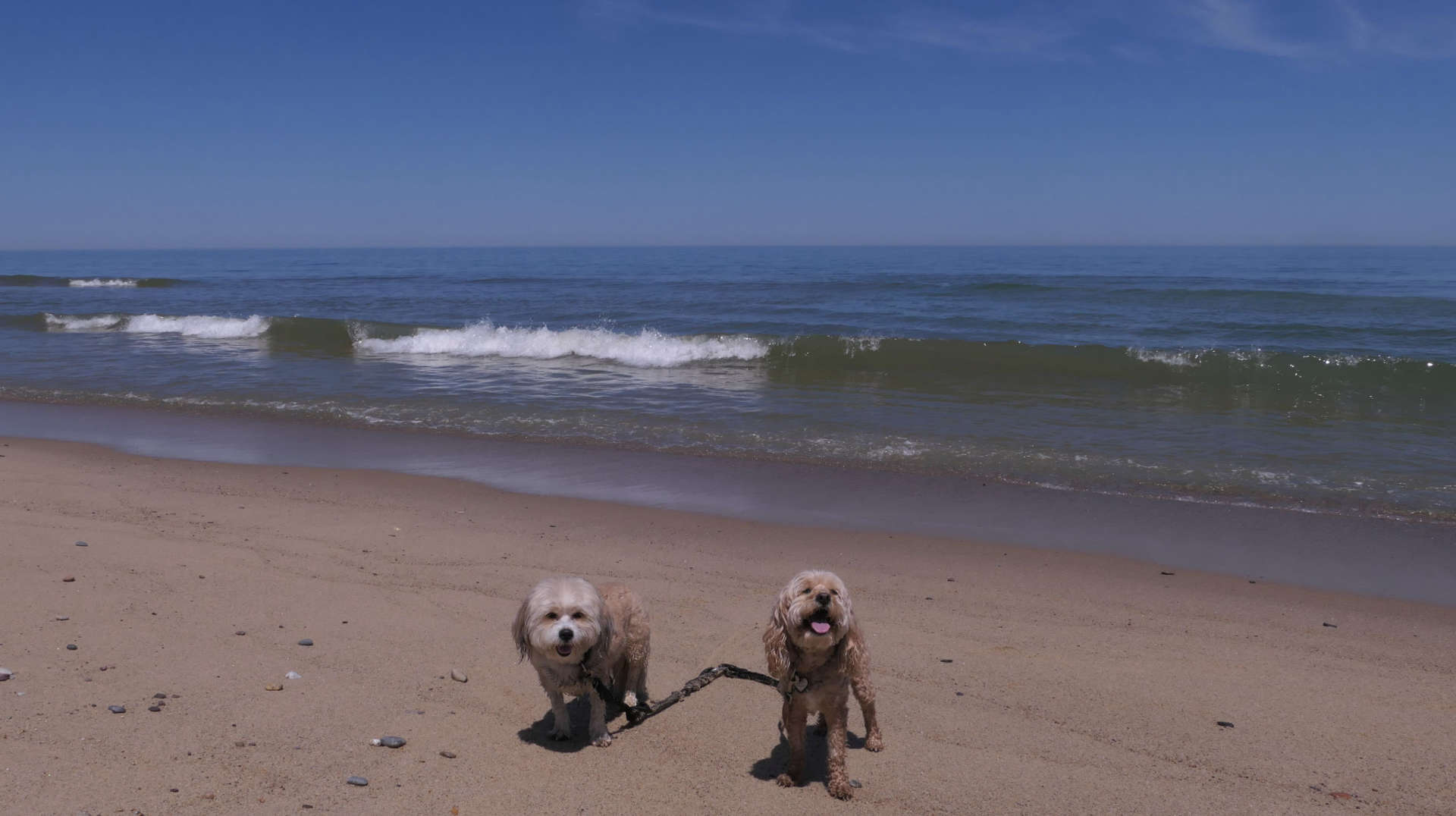 Wellfleet62