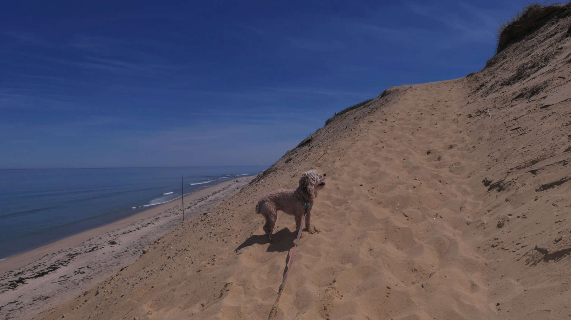 Wellfleet64