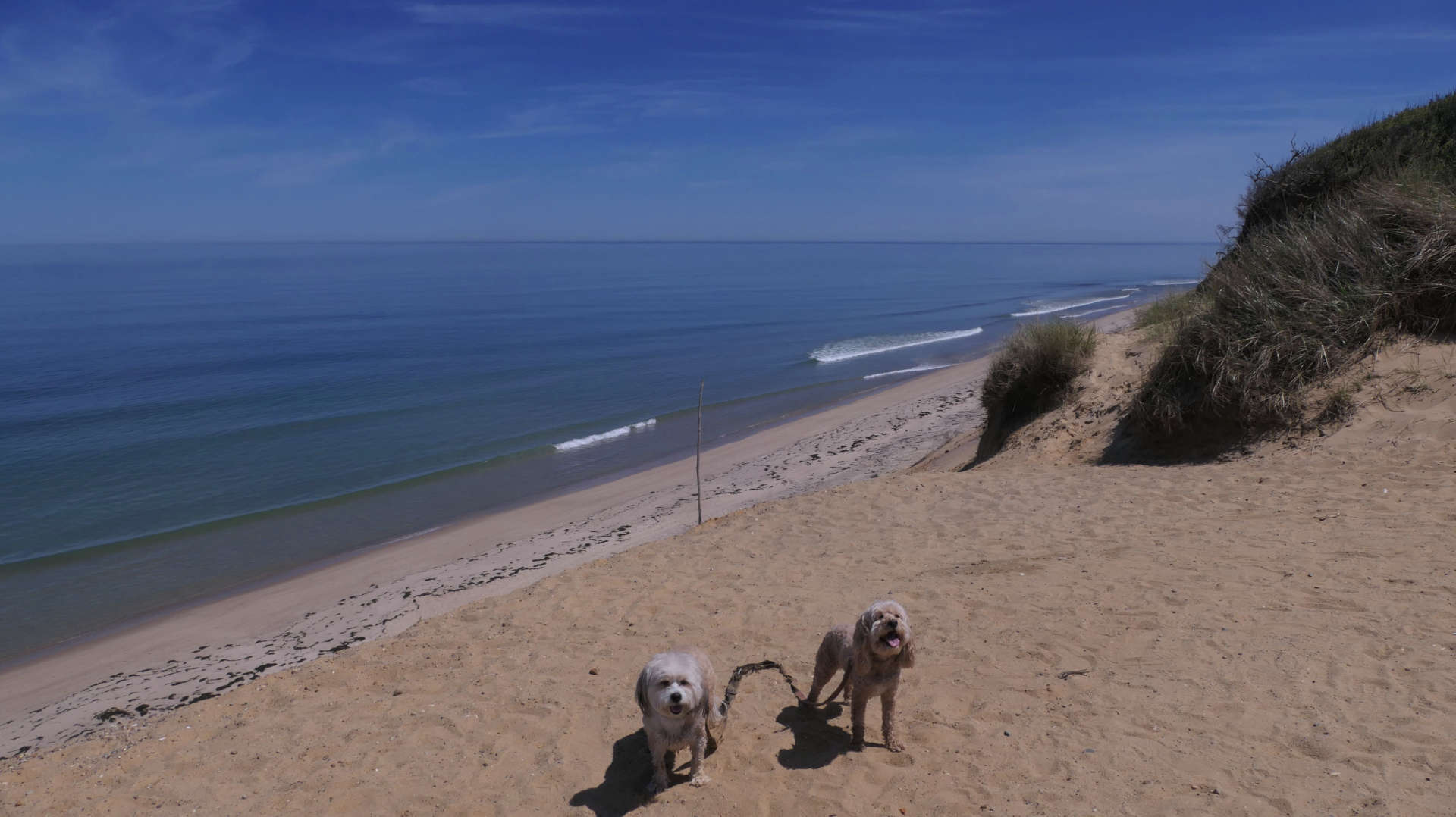 Wellfleet66