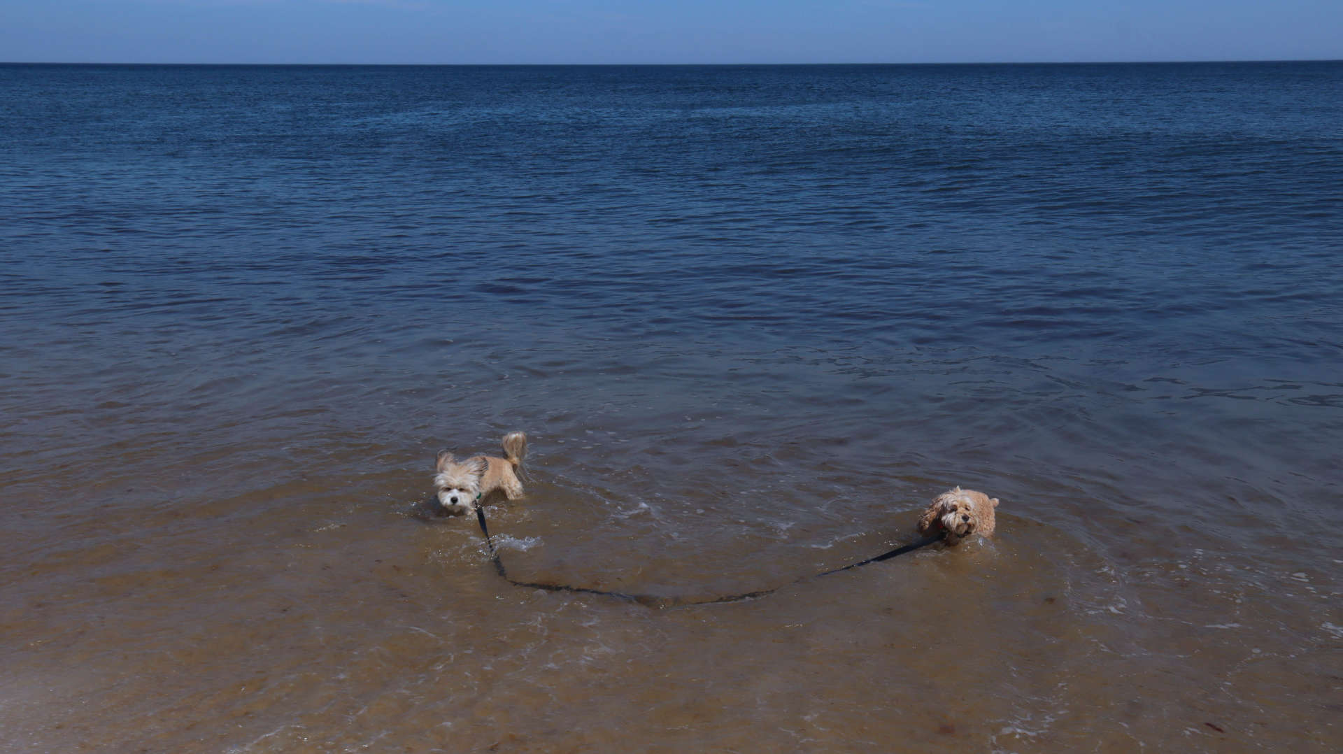 Wellfleet69