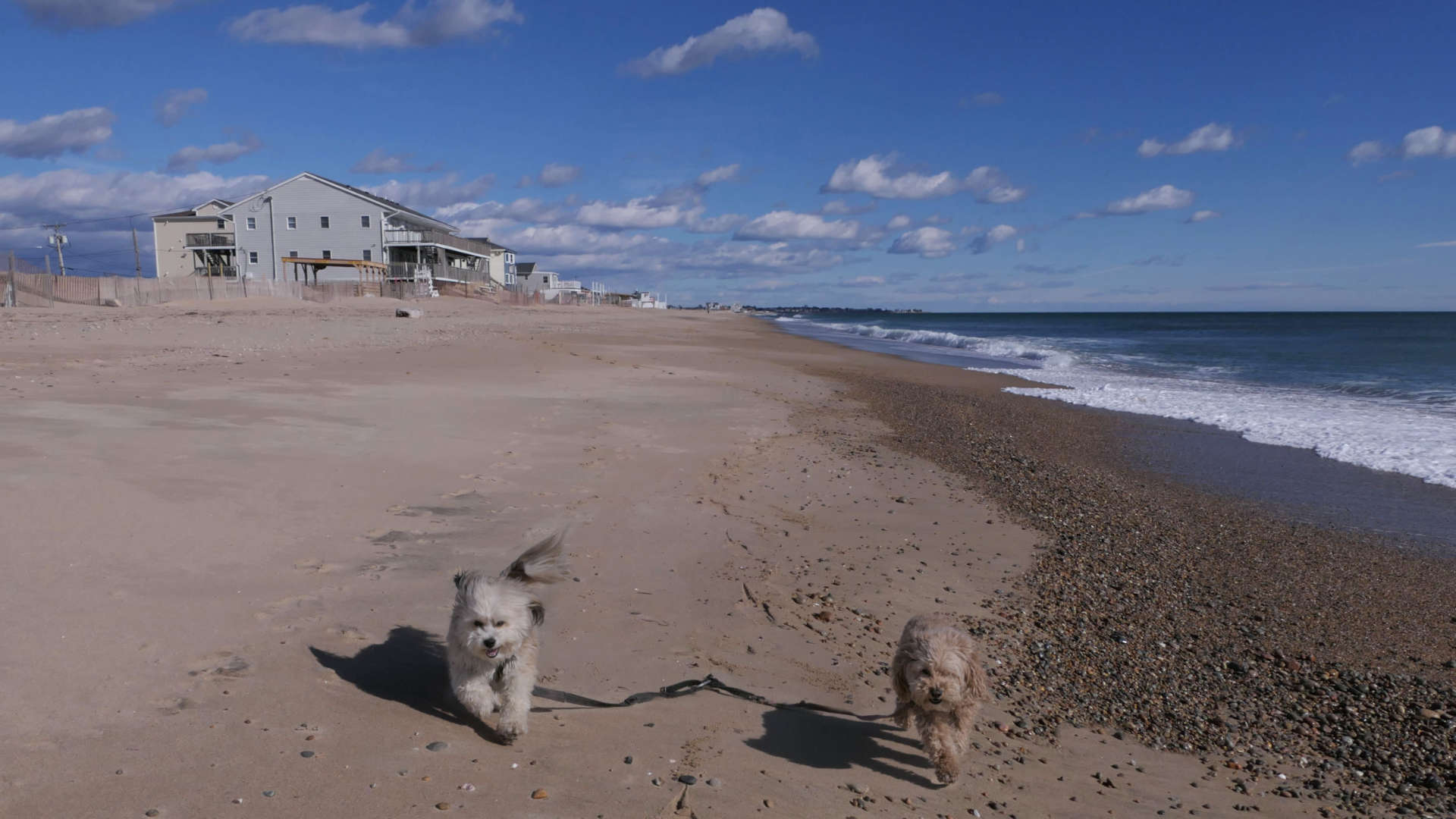 Westerly422
