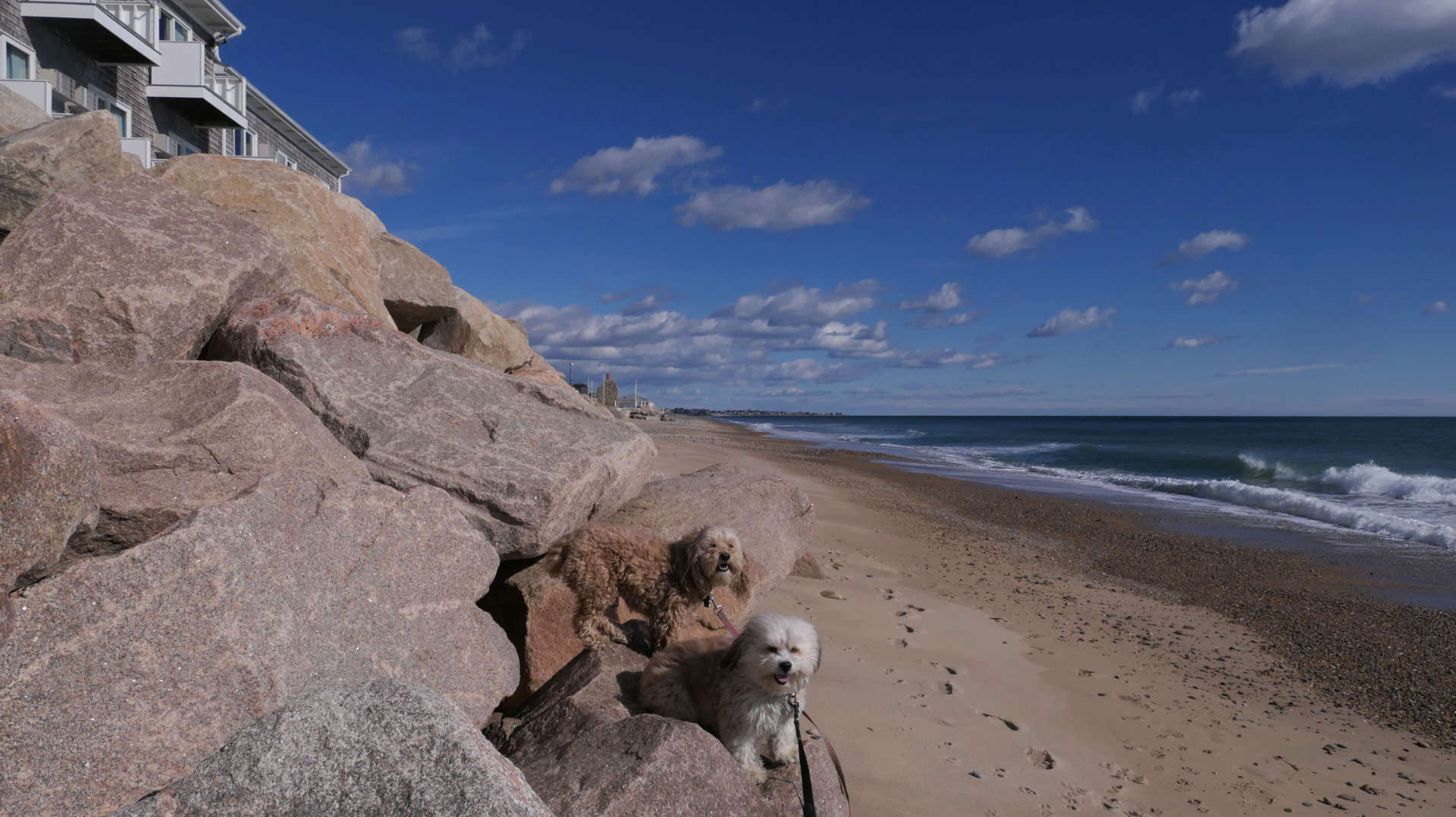 Westerly424