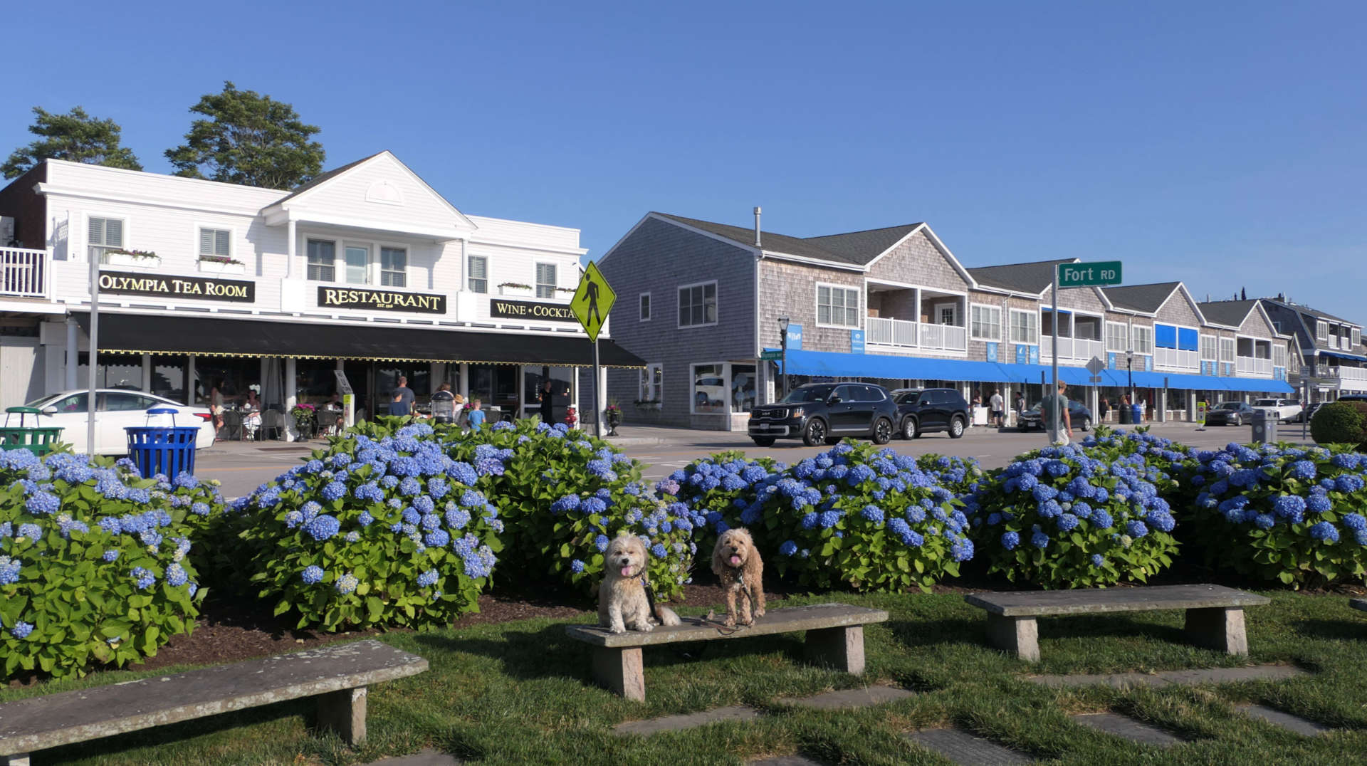 Westerly515