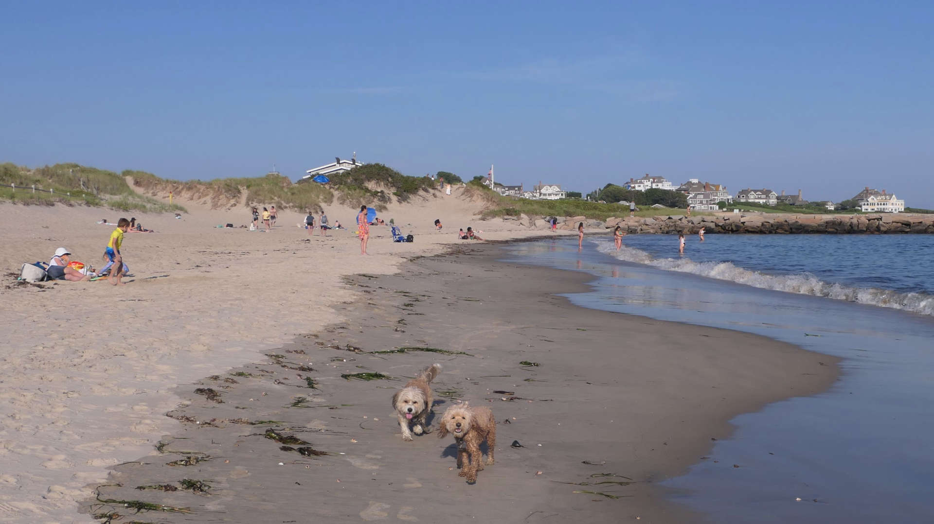 Westerly519