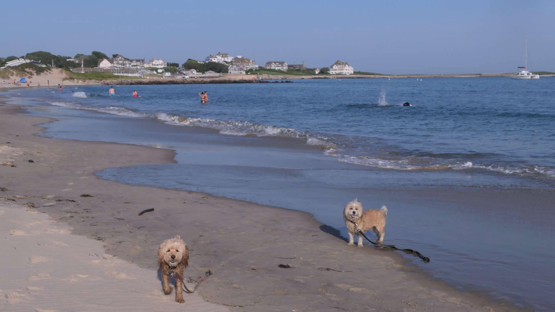 Westerly521