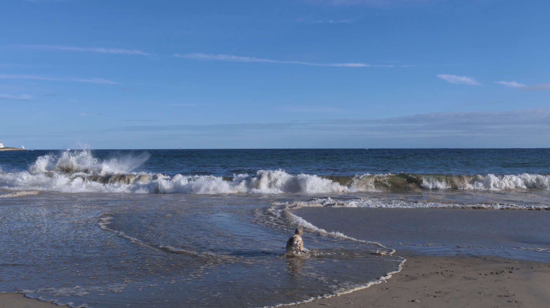 Westerly569