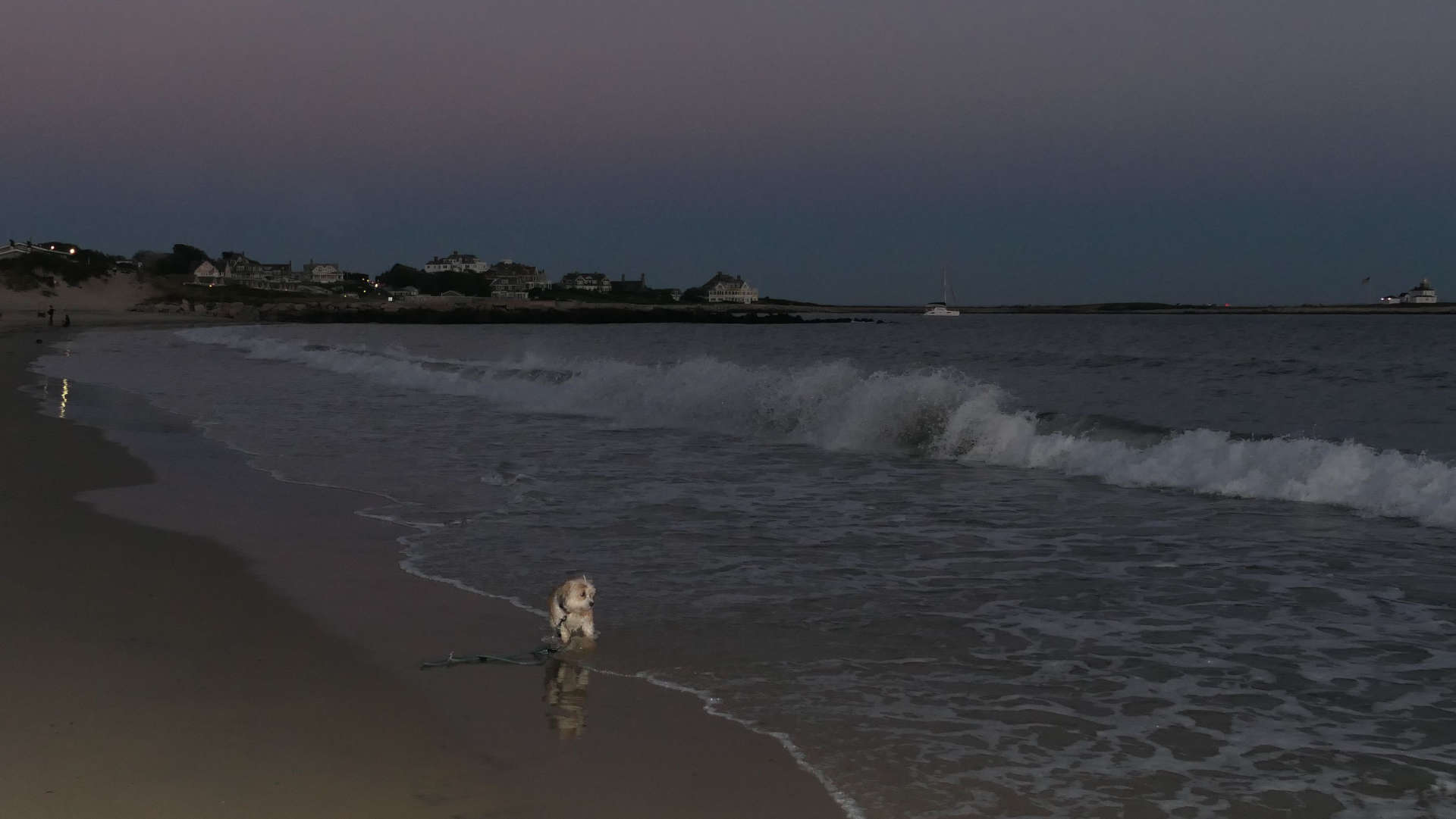 Westerly613