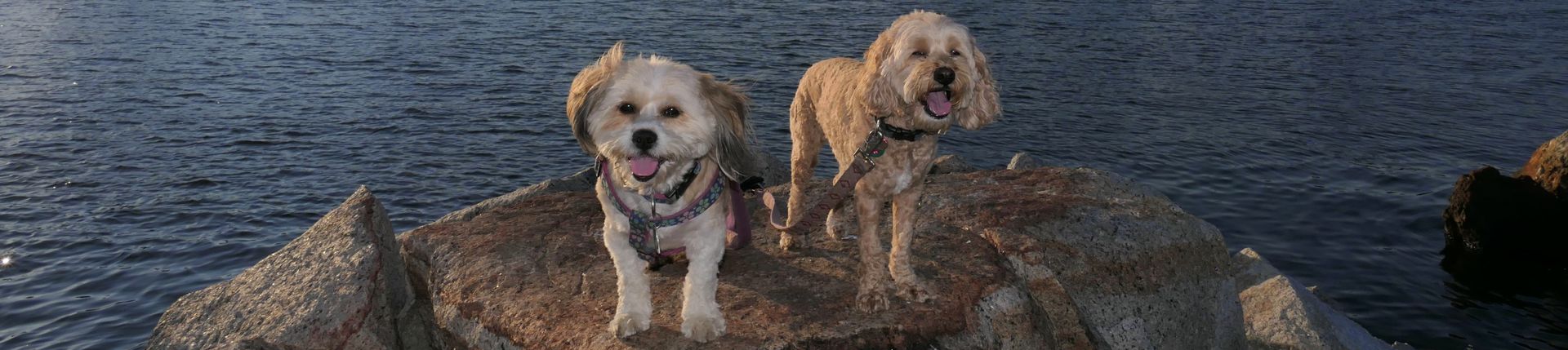 Mandy and Lexi