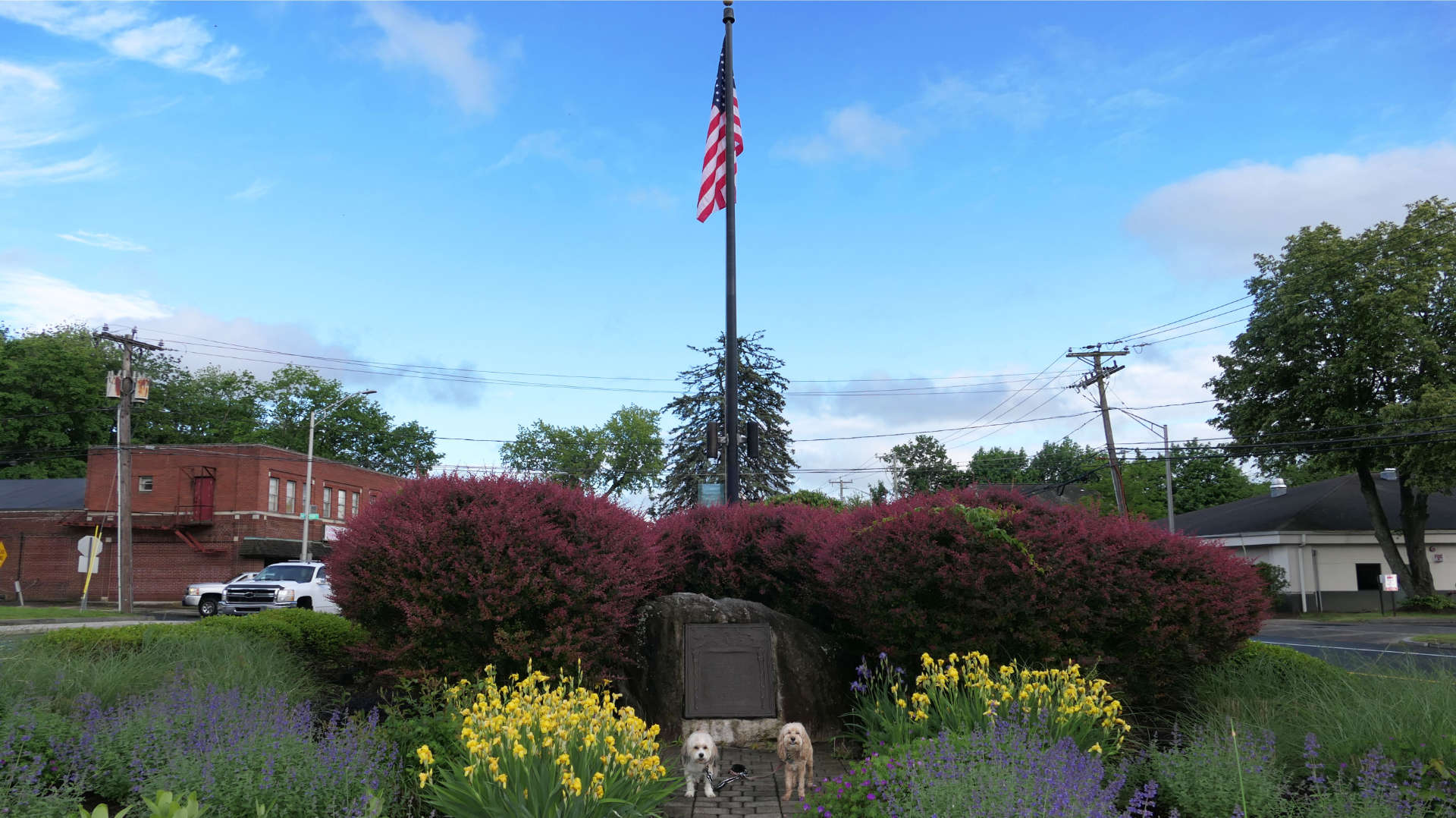 Danbury24