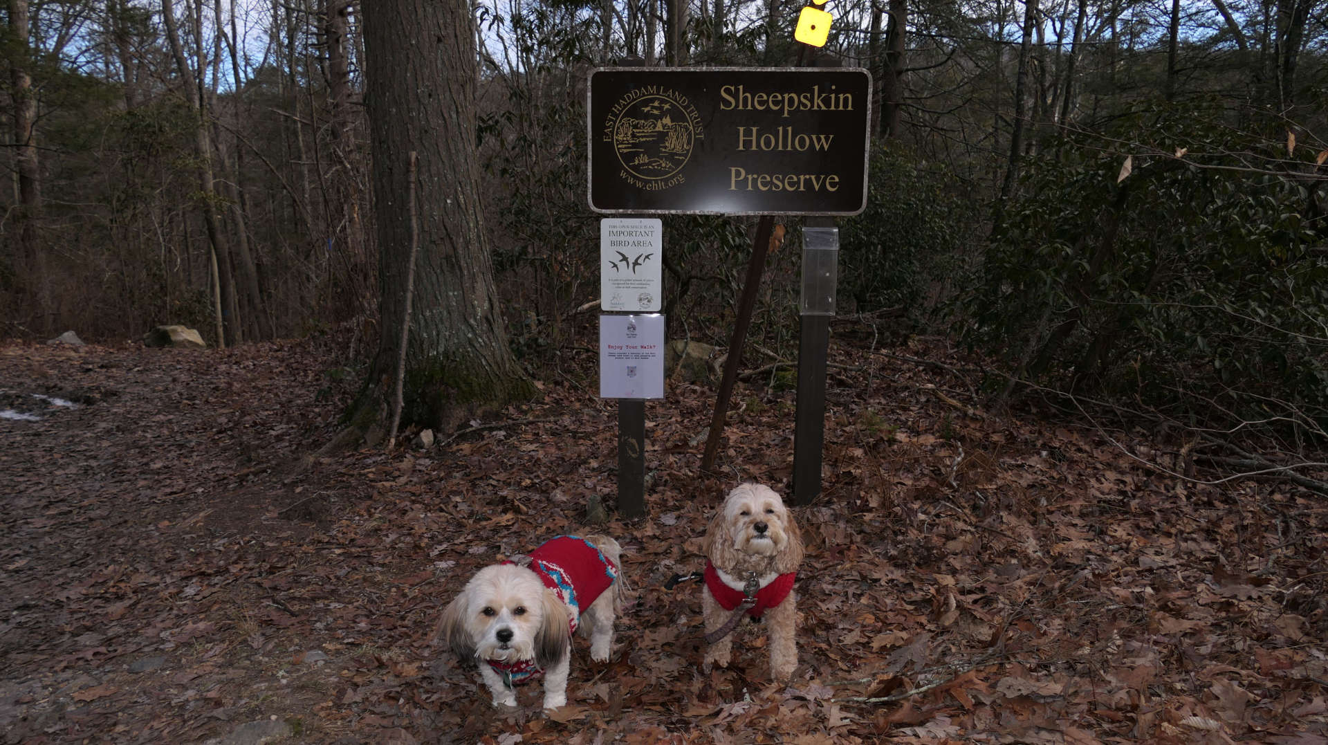 East_Haddam27