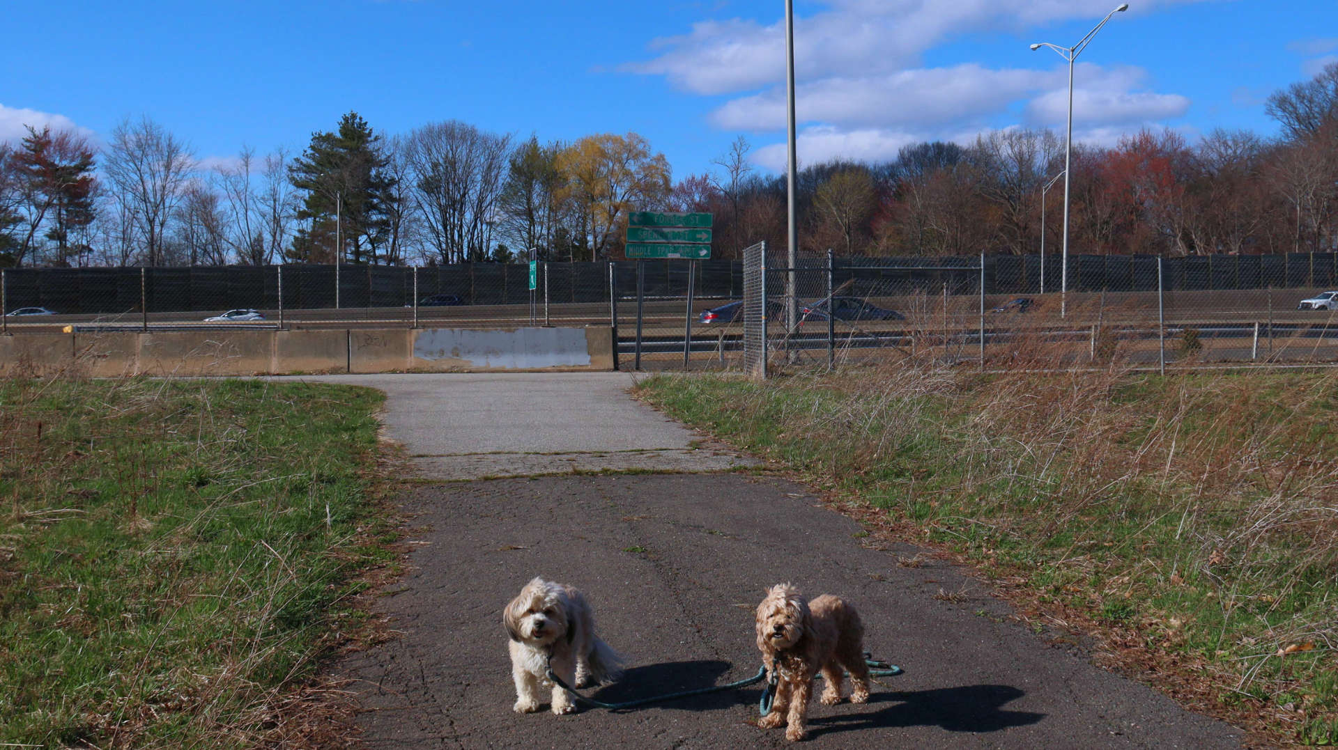 East_Hartford75