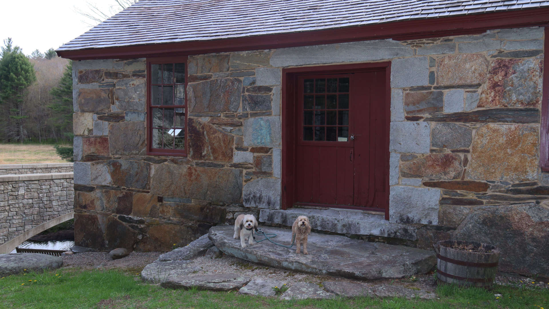 Mansfield151