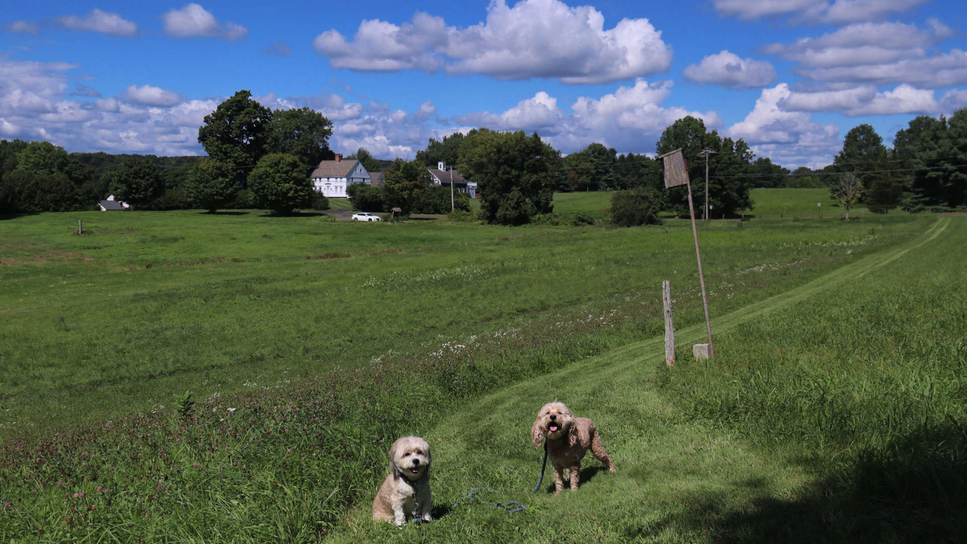 Middlefield15