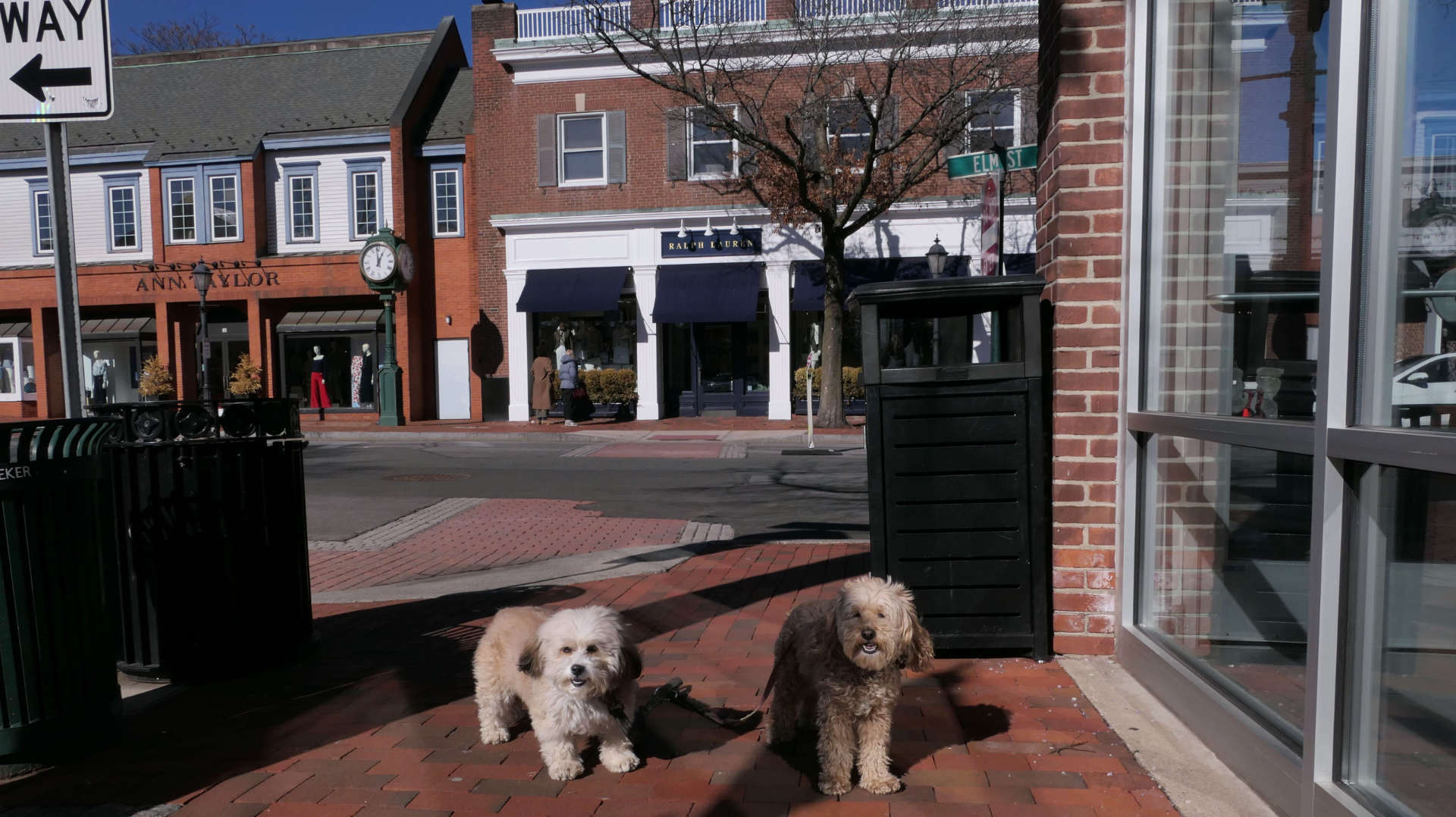 New_Canaan48