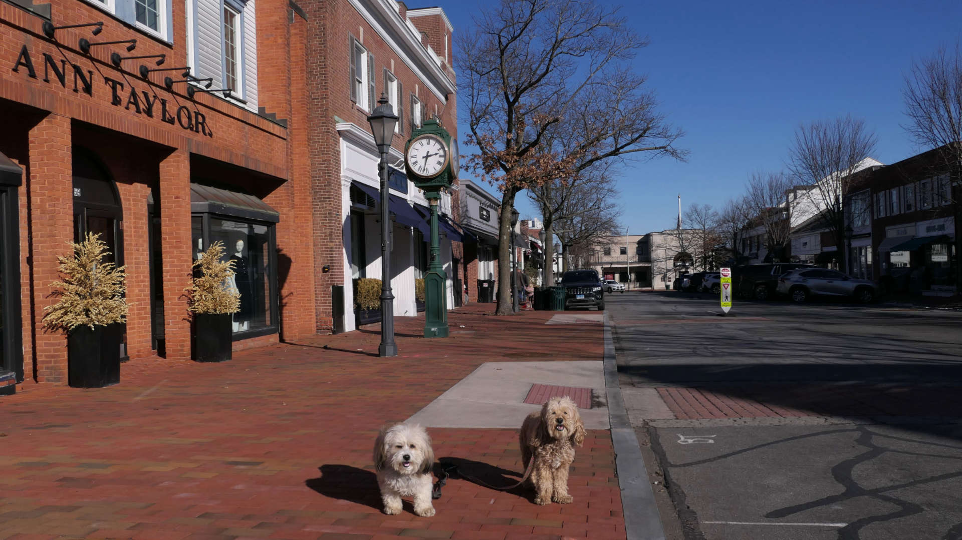 New_Canaan61