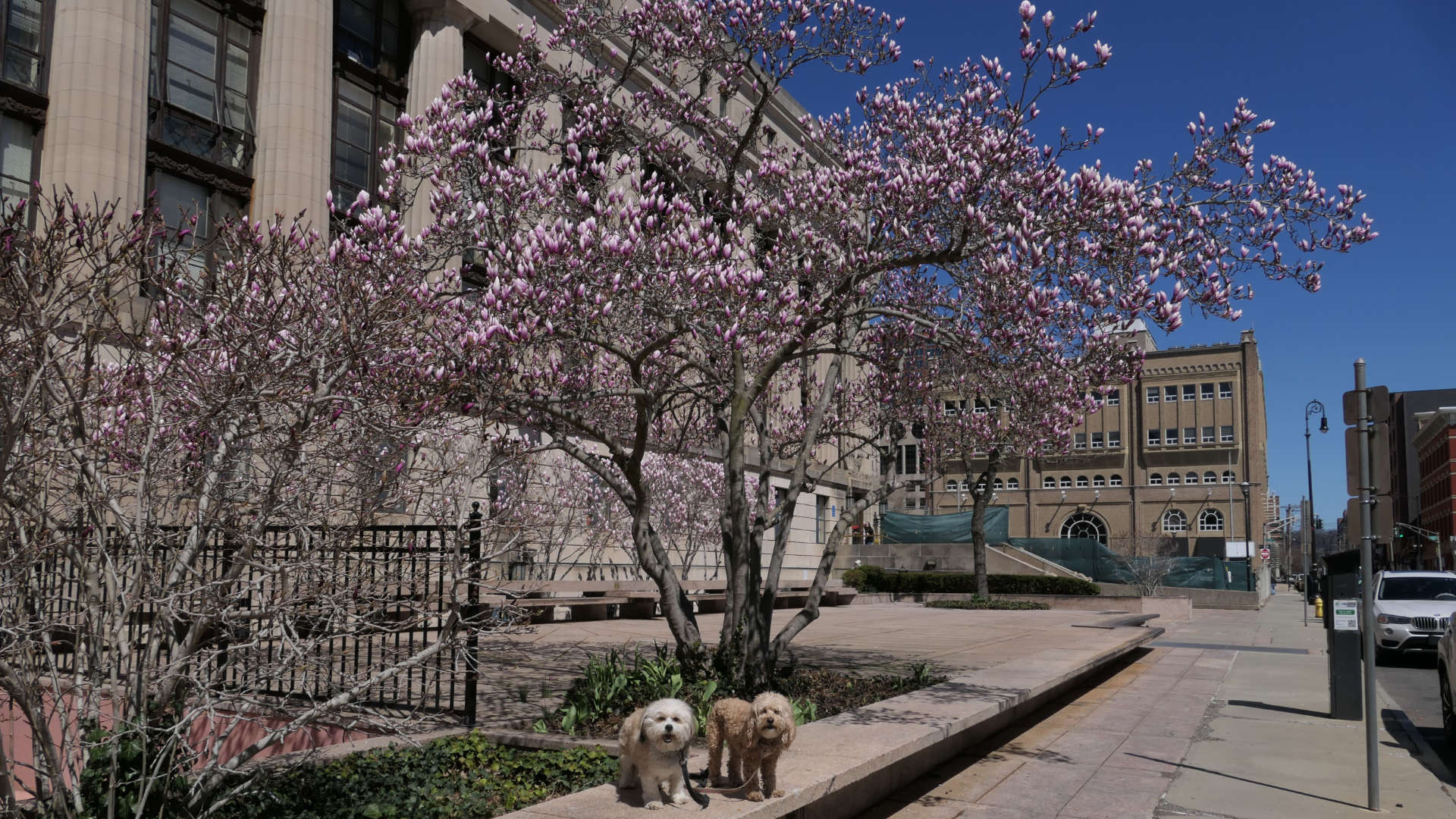New_Haven147