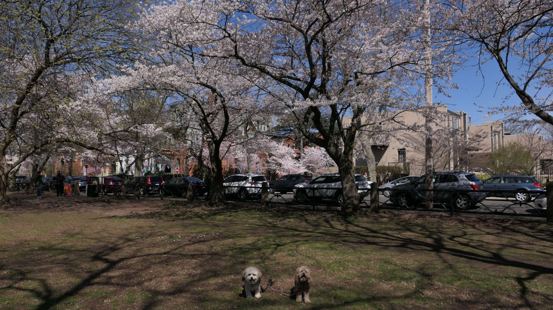 New_Haven190