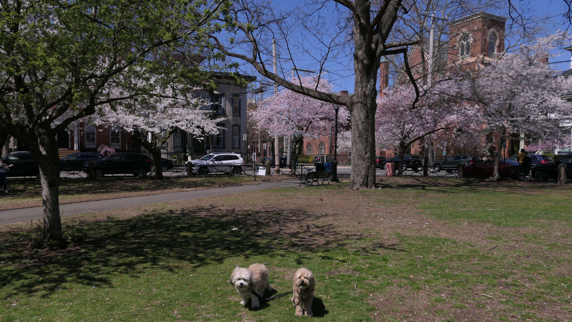 New_Haven207