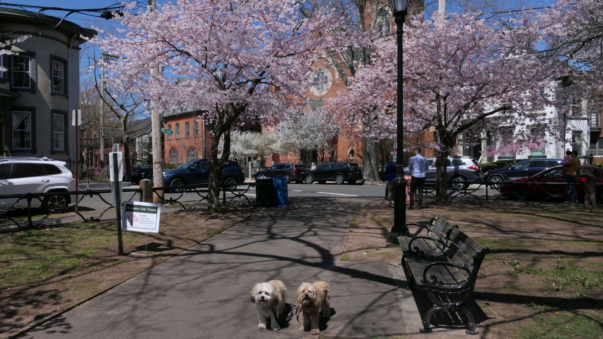 New_Haven208