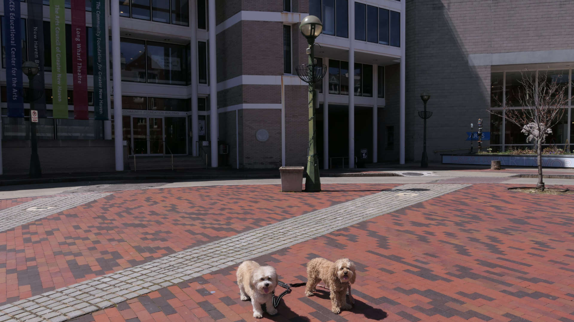 New_Haven217