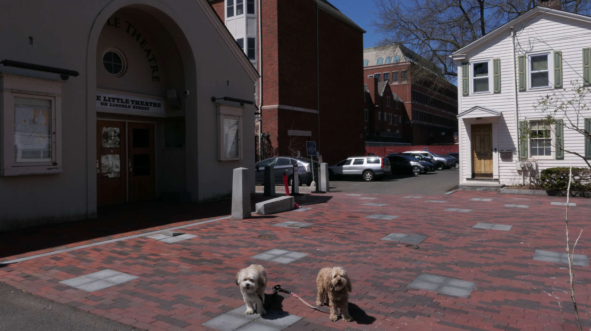 New_Haven221