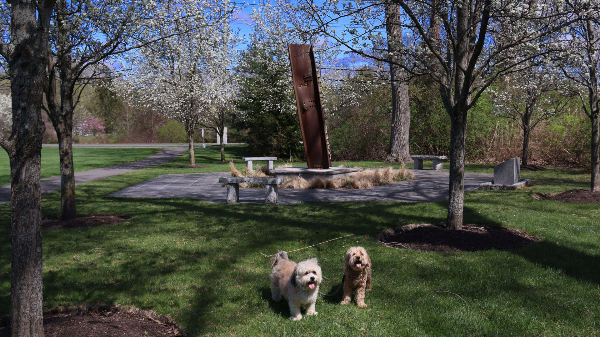 Ridgefield42