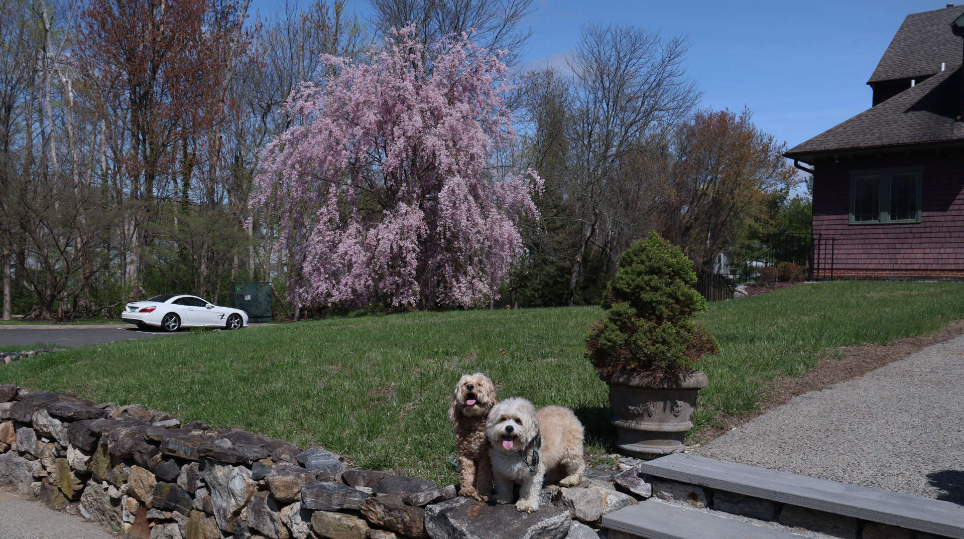 Ridgefield43
