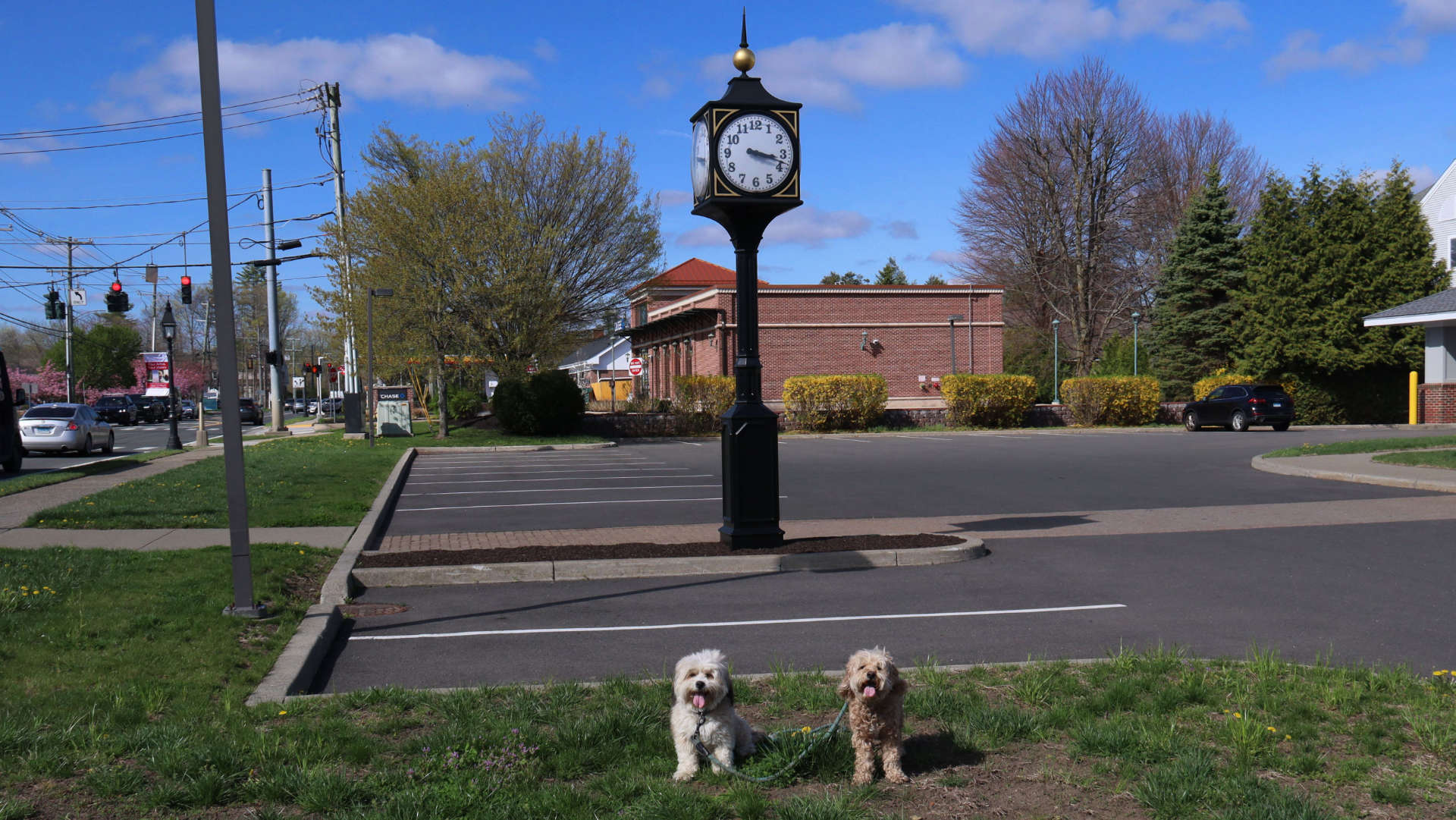 Ridgefield50