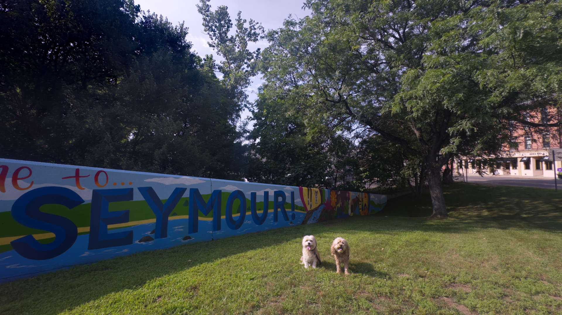 Seymour28