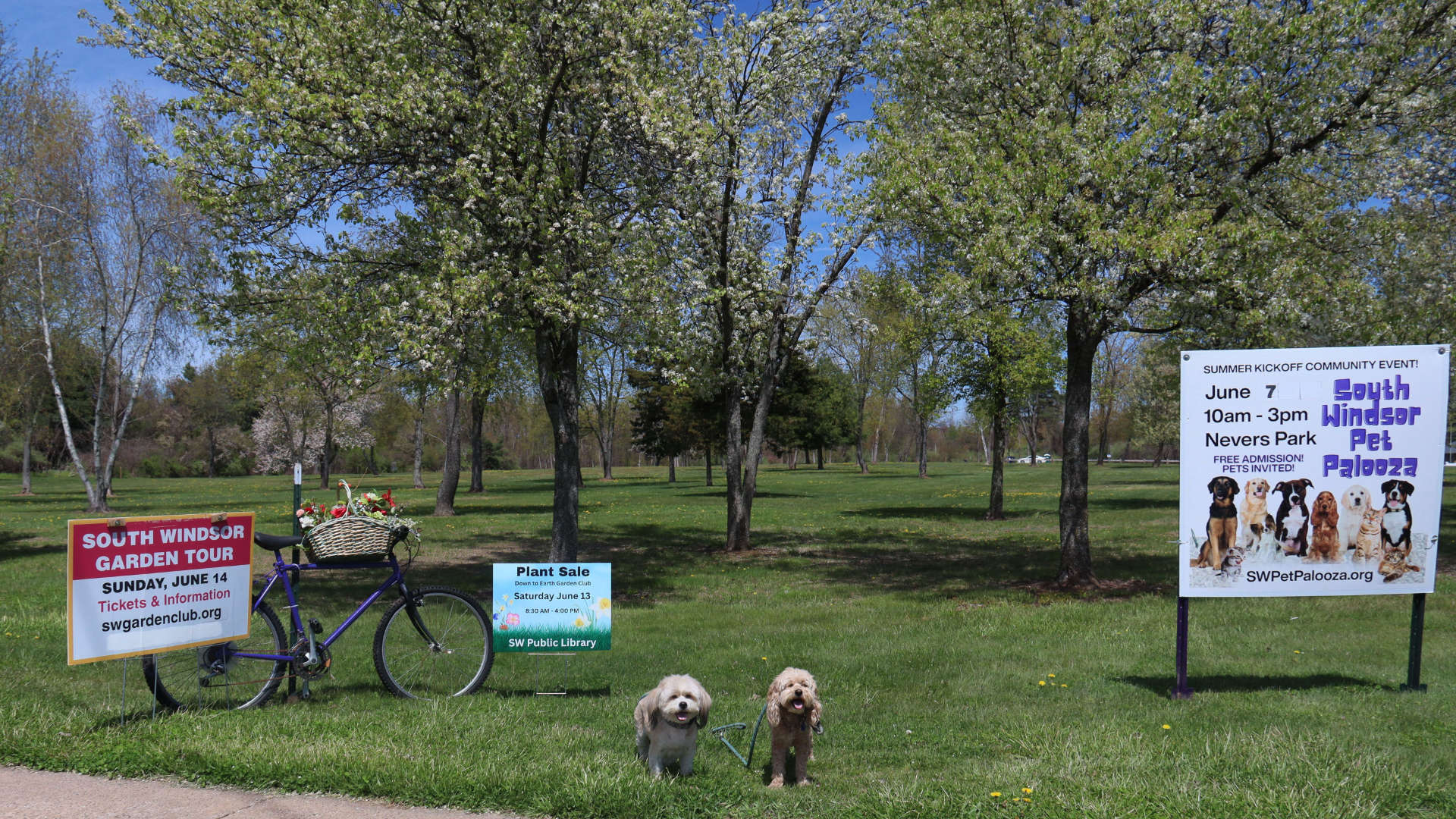 South_Windsor227