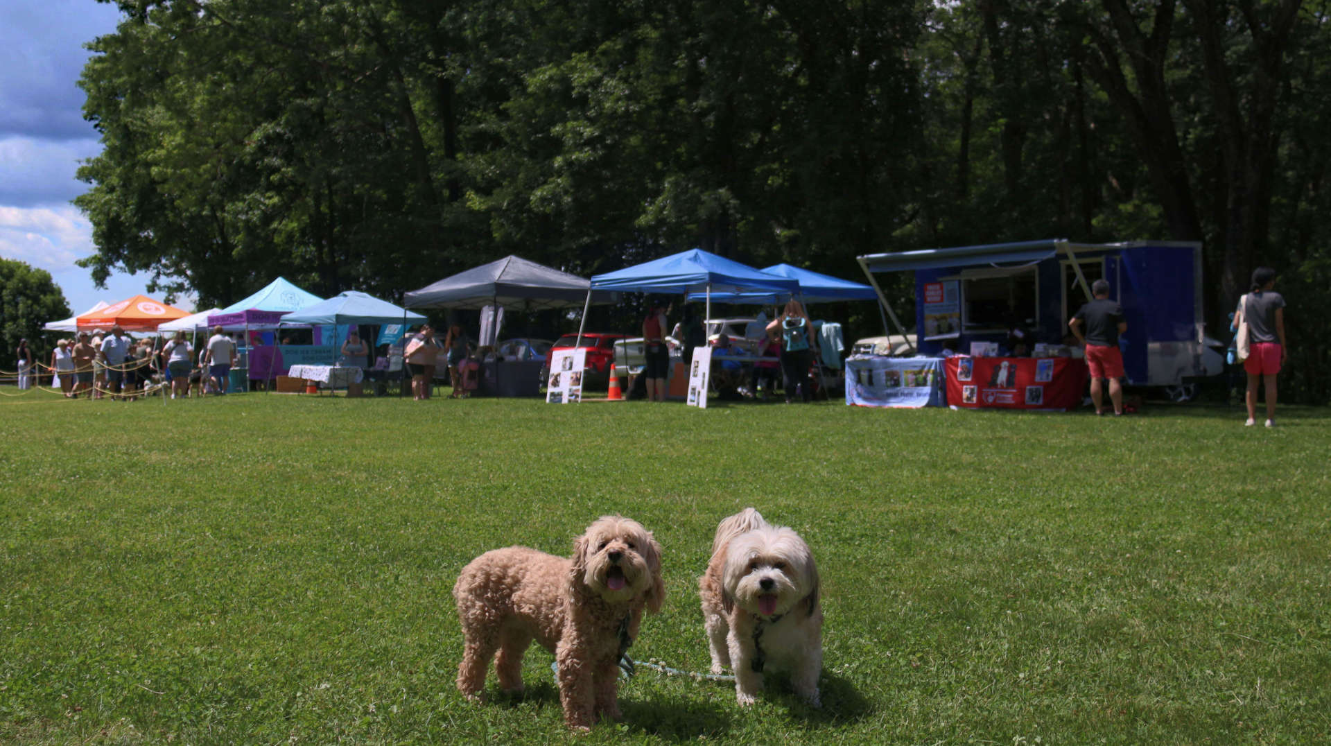 South_Windsor234