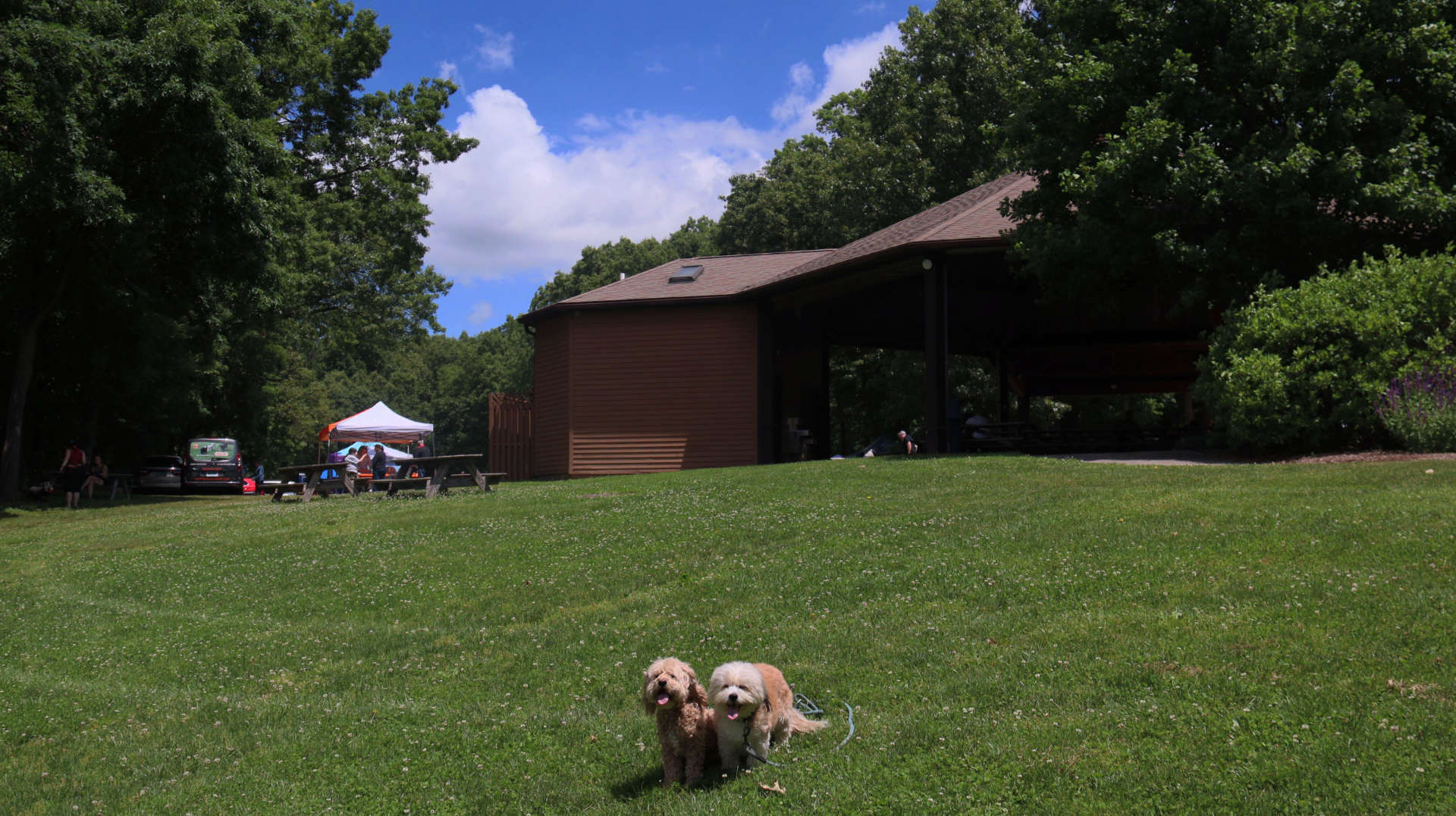 South_Windsor237
