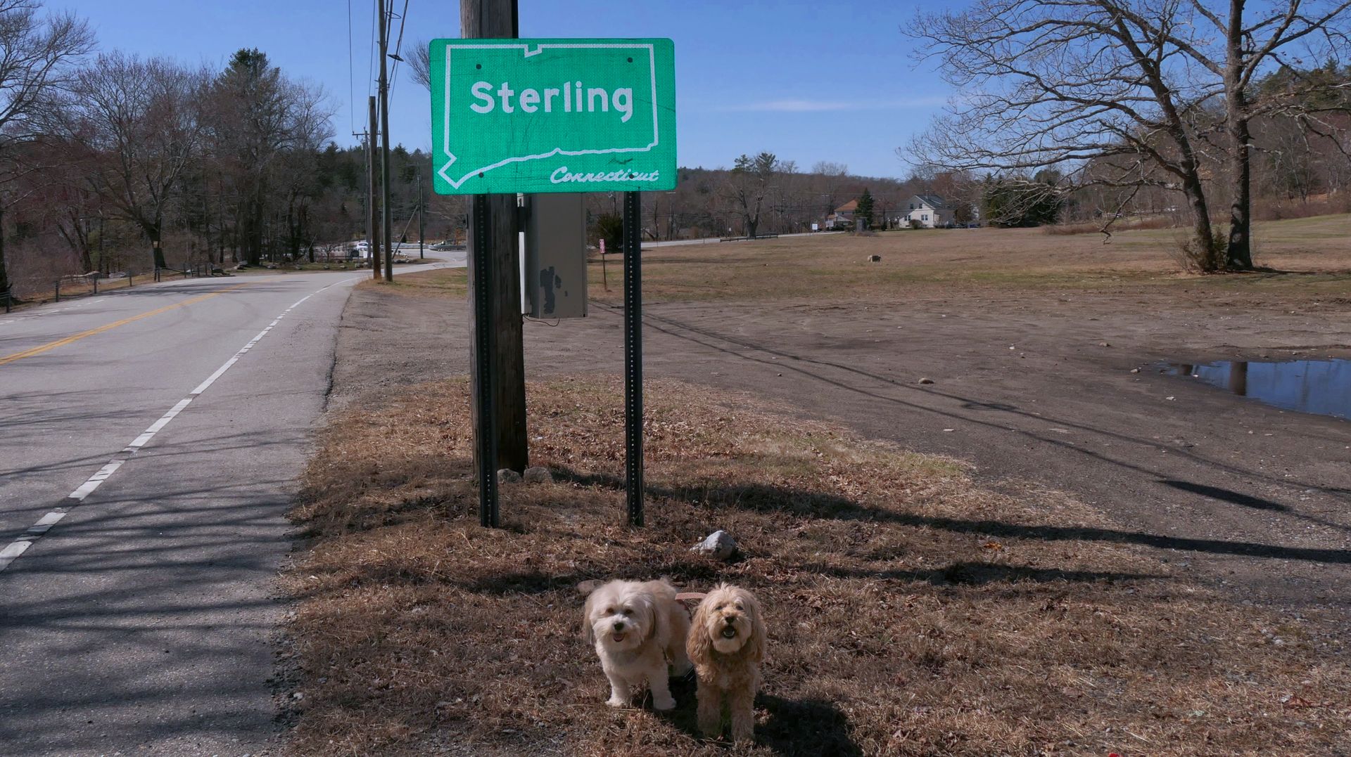 Sterling37