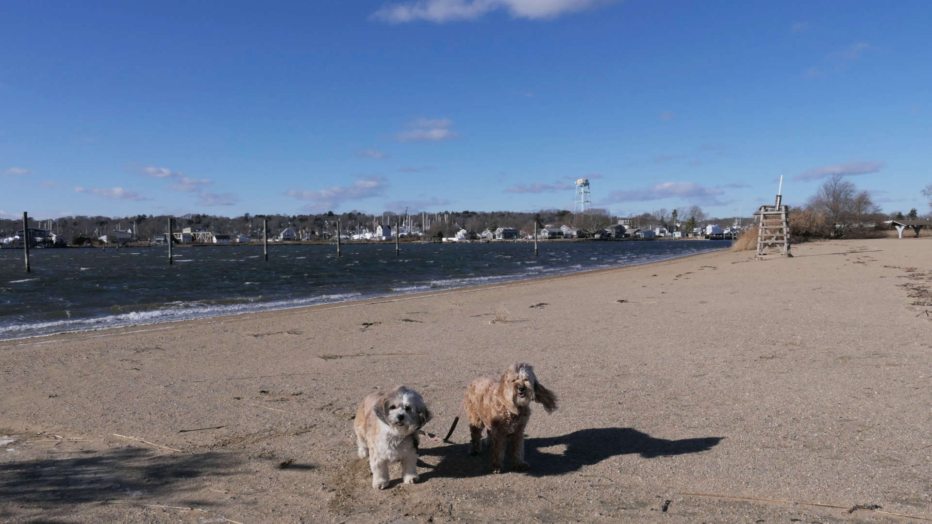 Stonington141
