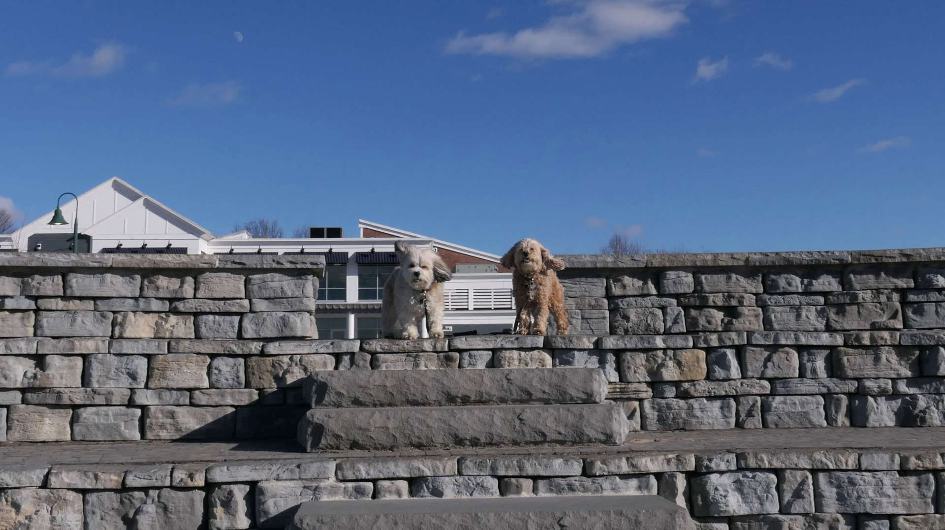 Stonington143