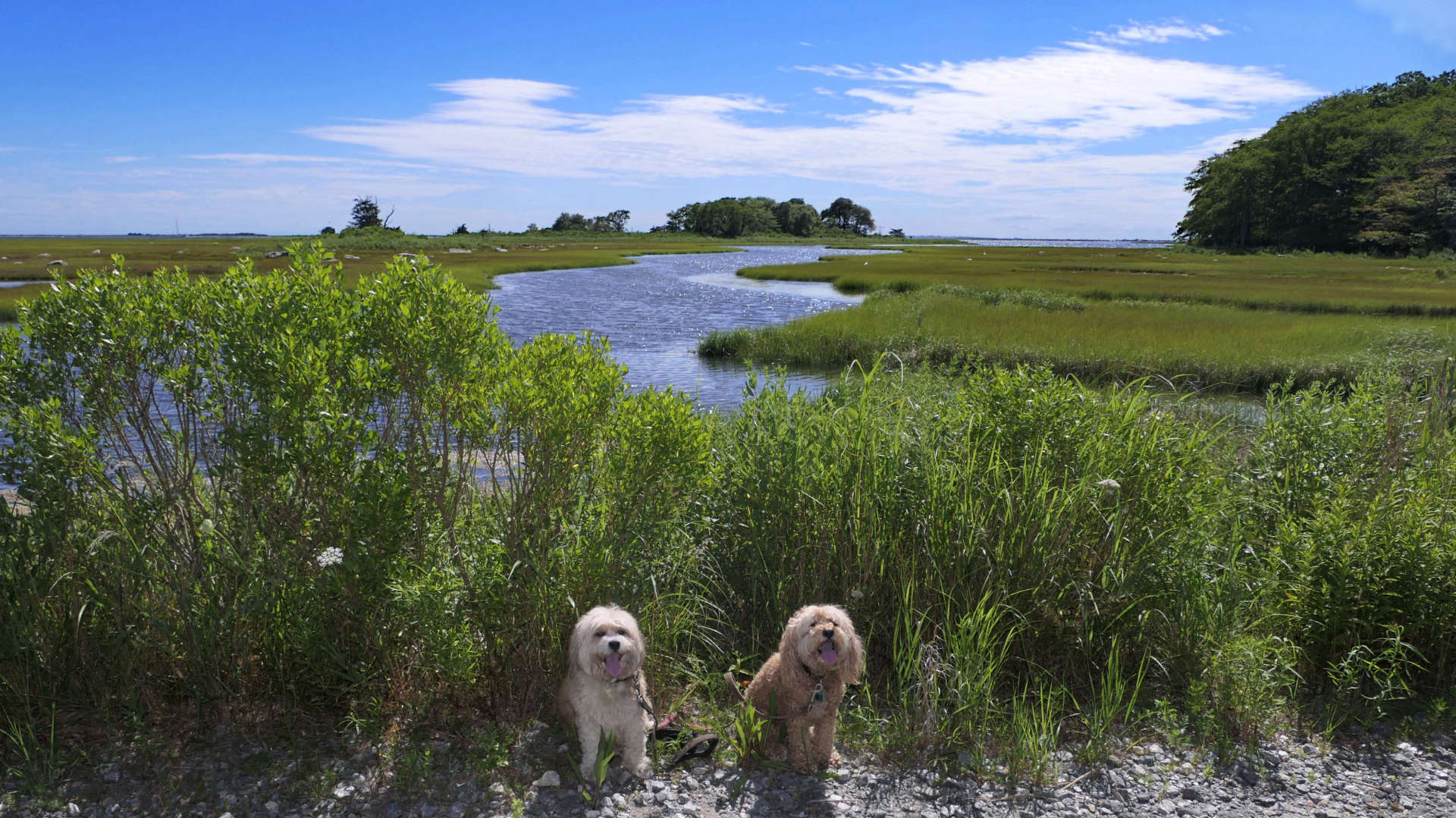 Stonington165
