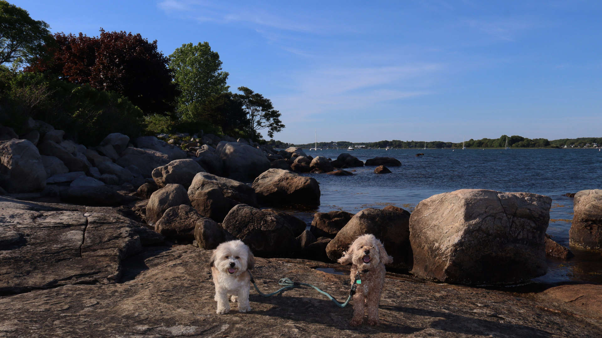Stonington213