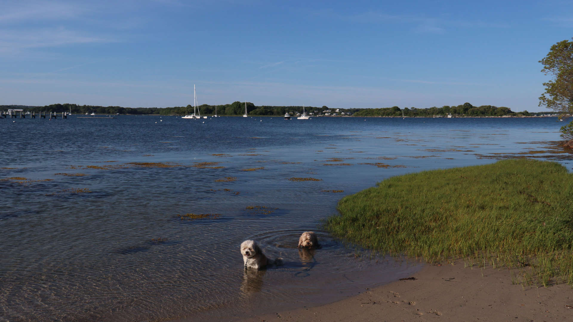 Stonington222