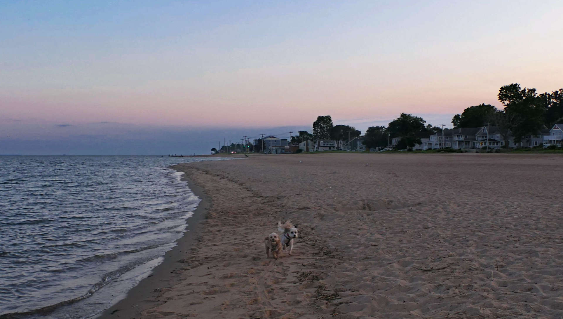 West_Haven21