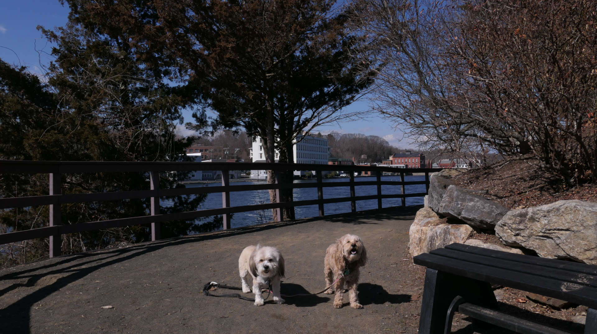 Westport47