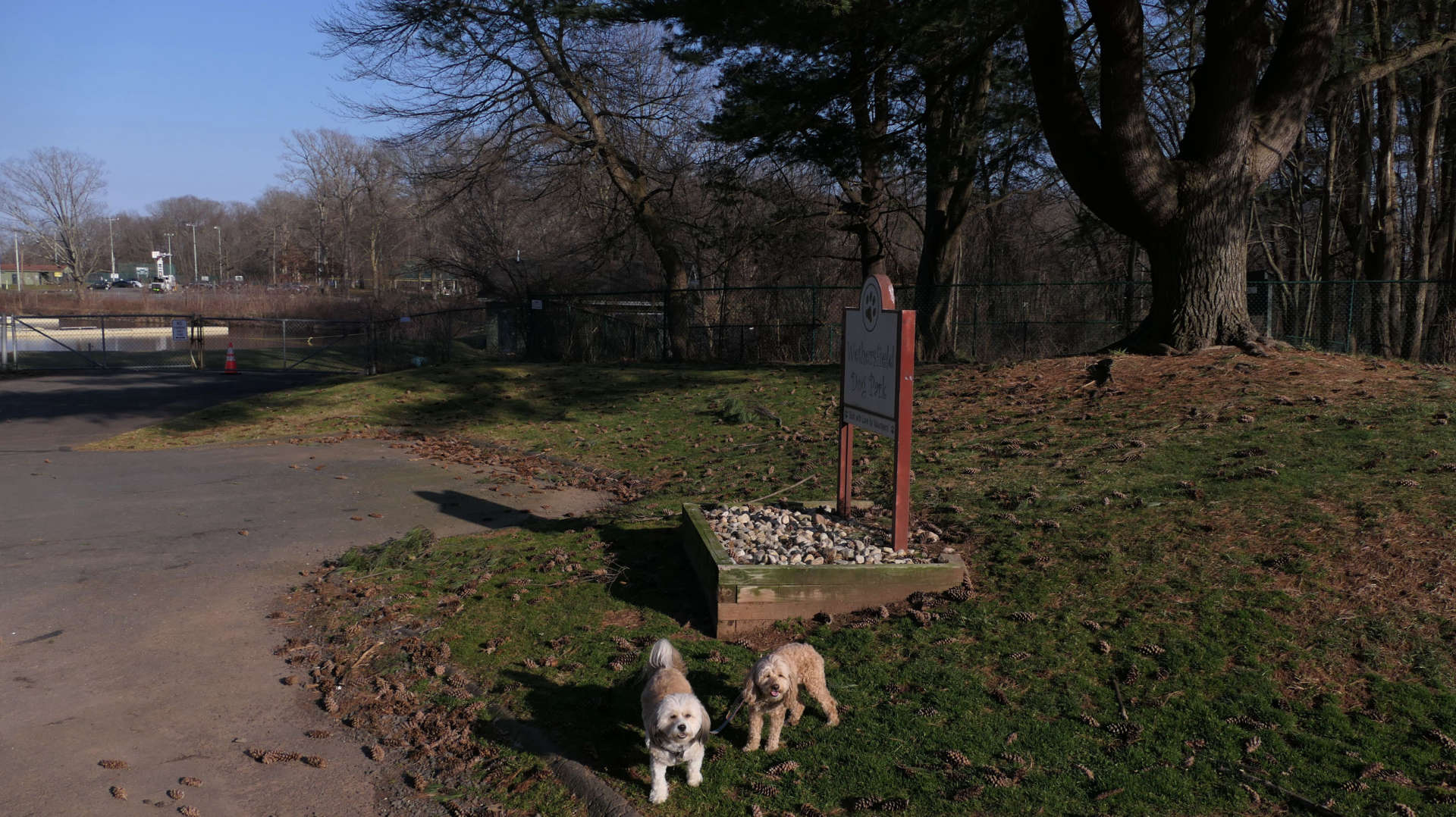 Wethersfield16